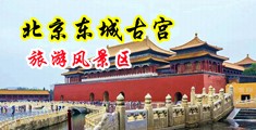 大鸡巴插骚逼强奸中国北京-东城古宫旅游风景区